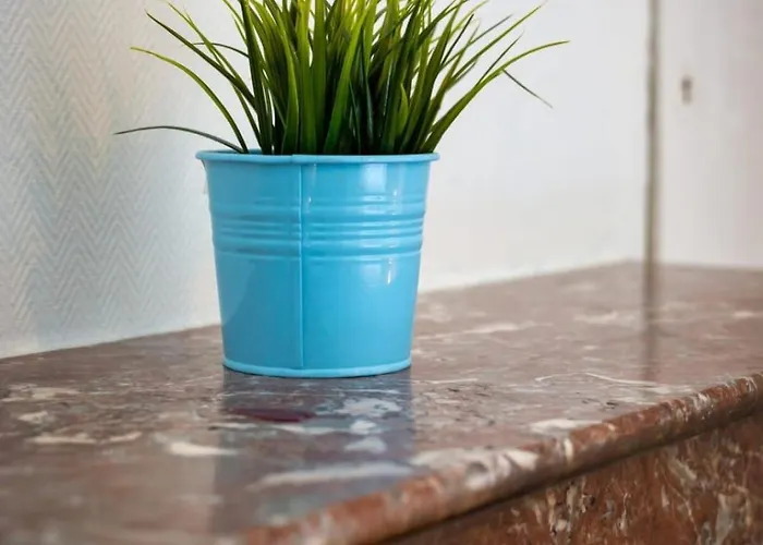 Barthelemy Cozy House In The Center *